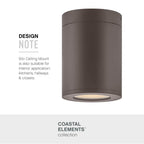 Hinkley Lighting Coastal Elements Small Flush Mount