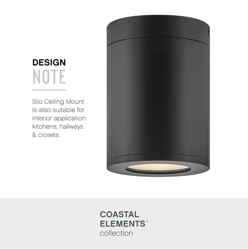 Hinkley Lighting Coastal Elements Small Flush Mount