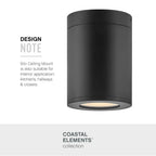 Hinkley Lighting Coastal Elements Small Flush Mount
