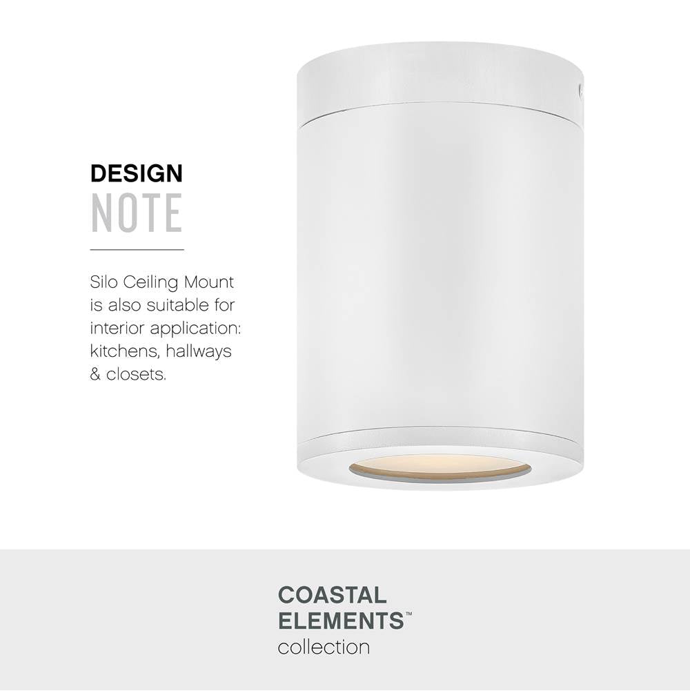 Hinkley Lighting Coastal Elements Small Flush Mount