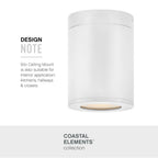 Hinkley Lighting Coastal Elements Small Flush Mount