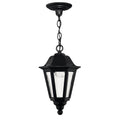 Hinkley Lighting 1412BK Black Medium Hanging Lantern Image 1
