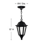 Hinkley Lighting Manor House Medium Hanging Lantern