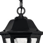 Hinkley Lighting 1412BK Black Medium Hanging Lantern Image 3