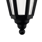 Hinkley Lighting 1412BK Black Medium Hanging Lantern Image 2