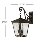 Hinkley Lighting Trellis Large Wall Mount Lantern