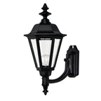 Hinkley Lighting 1449BK Black Large Wall Mount Lantern Image 1