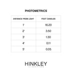 Hinkley Lighting 15014TT-LL Titanium Atlantis Small Led Path Light Image 2