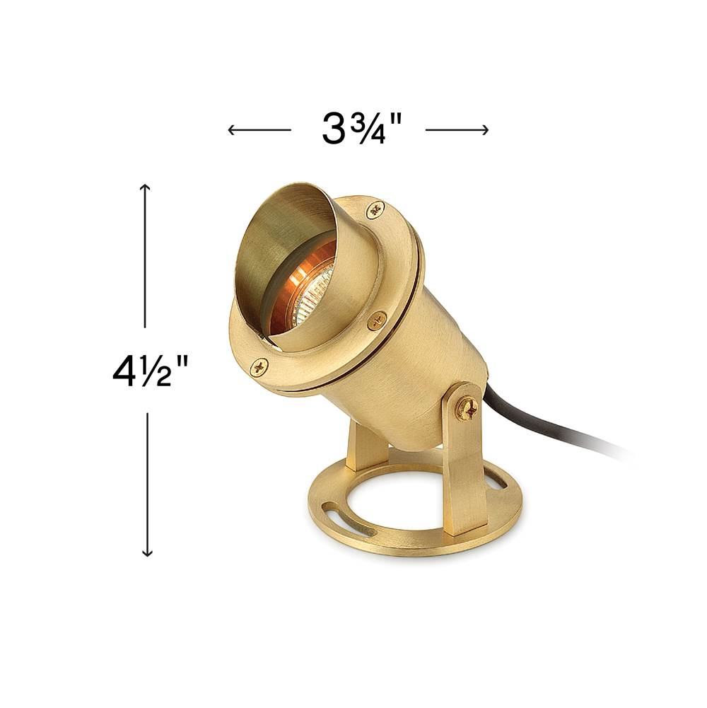 Hinkley Lighting 1539BS Brass Pond Light Mr16 Image 4
