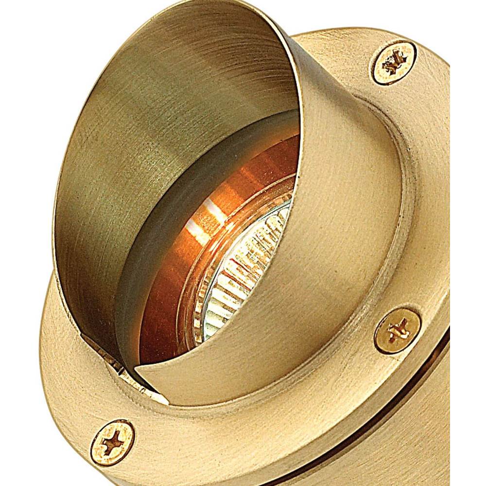 Hinkley Lighting 1539BS Brass Pond Light Mr16 Image 3