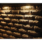 Hinkley Lighting 15448BZ Bronze Nuvi Large Deck Sconce Image 2