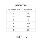 Hinkley Lighting 15714BZ Bronze Arc Large Led Path Light Image 2