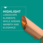 Hinkley Lighting Accent Spot Copper Spot Light