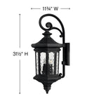 Hinkley Lighting Raley Large Wall Mount Lantern