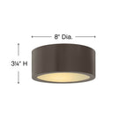 Hinkley Lighting Luna Small Flush Mount