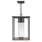 Hinkley Lighting 17022BK-LL Black Large Hanging Lantern Image 8