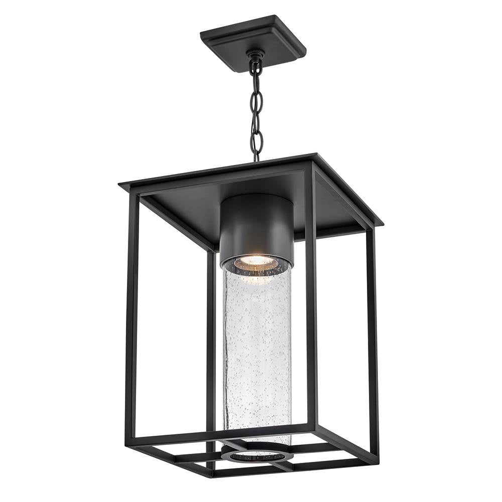 Hinkley Lighting 17022BK-LL Black Large Hanging Lantern Image 7