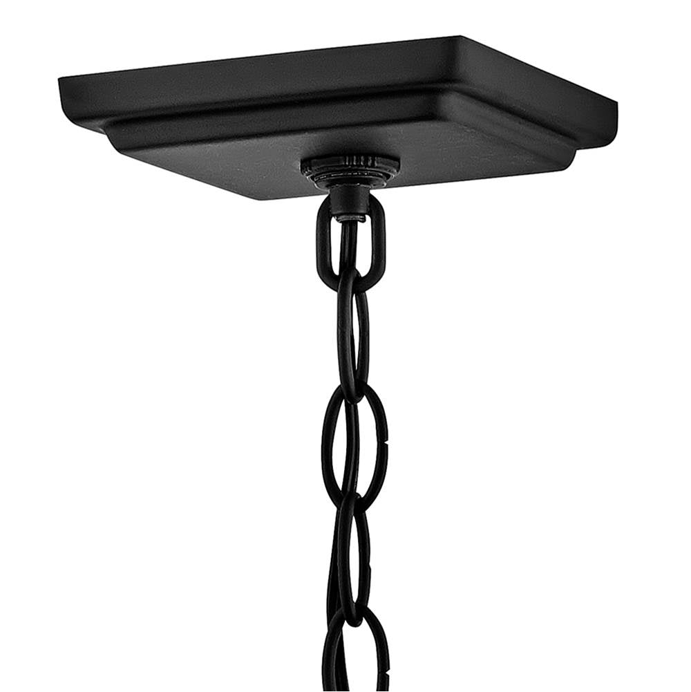 Hinkley Lighting 17022BK-LL Black Large Hanging Lantern Image 3