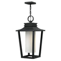 Hinkley Lighting 1742BK Black Medium Hanging Lantern Image 1
