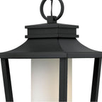 Hinkley Lighting 1742BK Black Medium Hanging Lantern Image 3