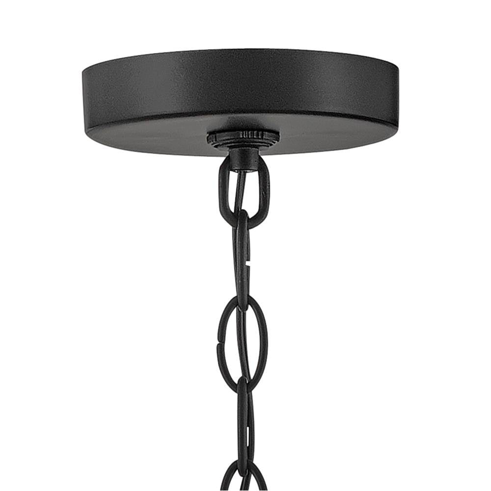 Hinkley Lighting 17502BK Black Large Hanging Lantern Image 4