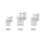 Hinkley Lighting 1804CW Classic White Medium Wall Mount Lantern Image 4