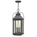 Hinkley Lighting 1852DZ Aged Zinc Large Hanging Lantern Image 1
