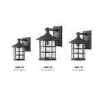 Hinkley Lighting 1865TK Textured Black Large Wall Mount Lantern Image 4