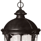 Hinkley Lighting 1892BK Black Large Hanging Lantern Image 5