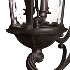 Hinkley Lighting 1895BK Black Large Wall Mount Lantern Image 3