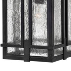 Hinkley Lighting 1962MB Museum Black Large Hanging Lantern Image 3