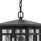 Hinkley Lighting 1962MB Museum Black Large Hanging Lantern Image 2