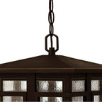 Hinkley Lighting 1962OZ Oil Rubbed Bronze Large Hanging Lantern Image 2
