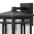 Hinkley Lighting 1965MB Museum Black Large Wall Mount Lantern Image 2
