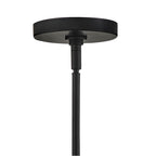 Hinkley Lighting 19675BK-NAT Black Orb Pendant Image 4