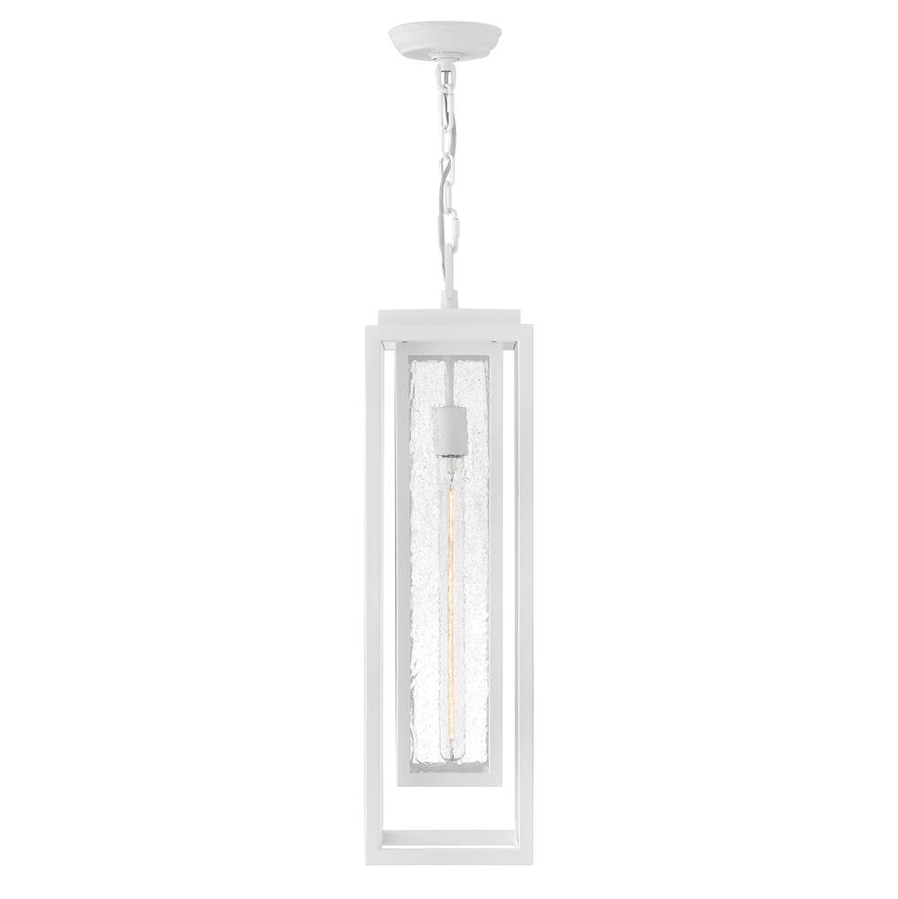 Hinkley Lighting 1006TW Textured White Large Hanging Lantern Image 3