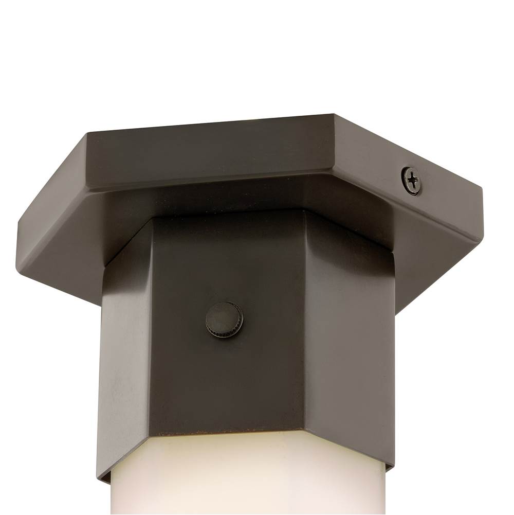 Hinkley Lighting 46992BX Black Oxide Small Flush Mount Image 4