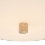 Hinkley Lighting 47727LCB Lacquered Brass Large Pendant Image 3