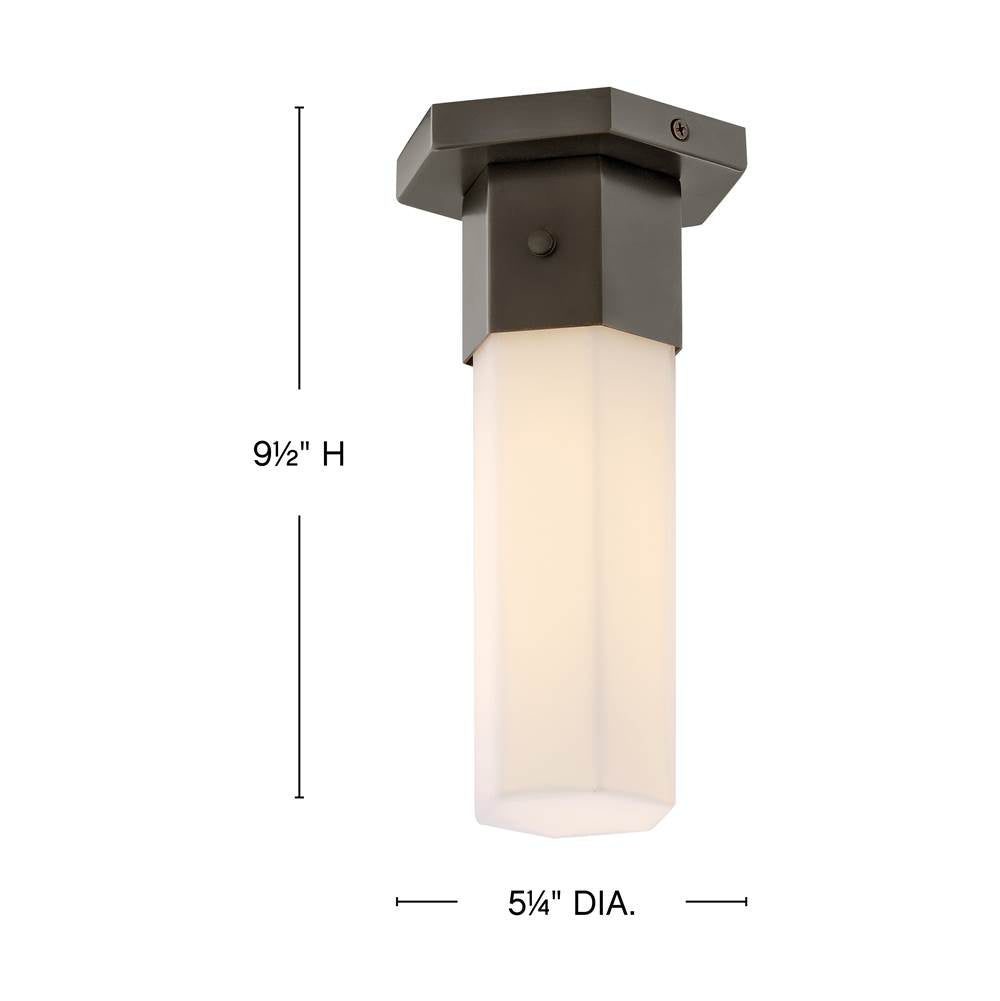 Hinkley Lighting 46992BX Black Oxide Small Flush Mount Image 2