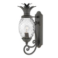 Hinkley Lighting 2120MB Museum Black Small Wall Mount Lantern Image 1