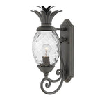 Hinkley Lighting 2120MB Museum Black Small Wall Mount Lantern Image 1