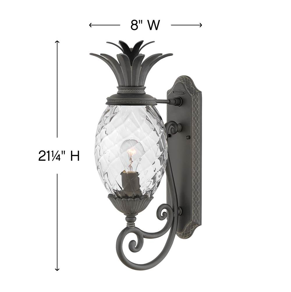 Hinkley Lighting Plantation Small Wall Mount Lantern