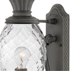 Hinkley Lighting 2120MB Museum Black Small Wall Mount Lantern Image 4