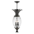 Hinkley Lighting 2122MB Museum Black Large Hanging Lantern Image 1