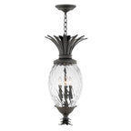 Hinkley Lighting 2122MB Museum Black Large Hanging Lantern Image 1