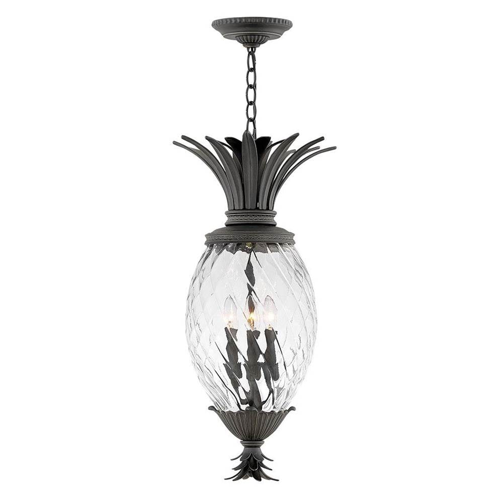 Hinkley Lighting 2122MB Museum Black Large Hanging Lantern Image 1