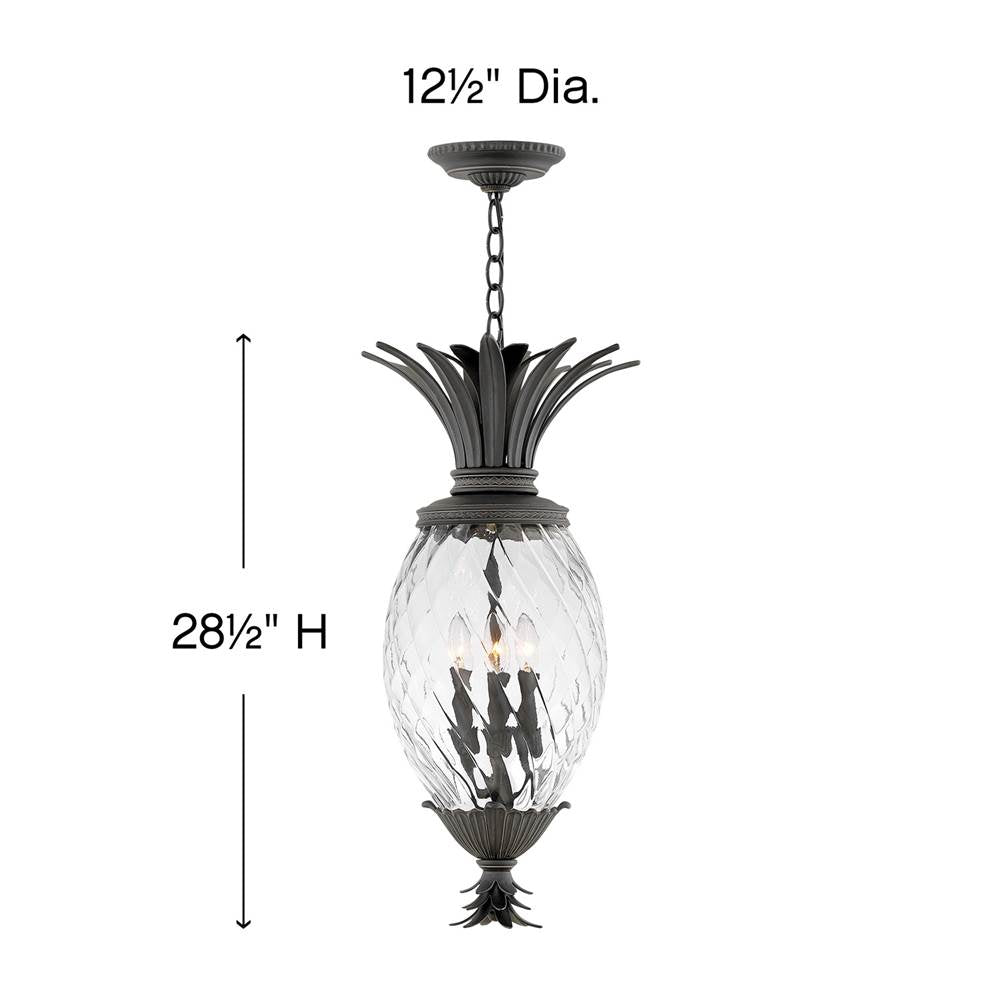Hinkley Lighting Plantation Large Hanging Lantern