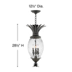 Hinkley Lighting Plantation Large Hanging Lantern