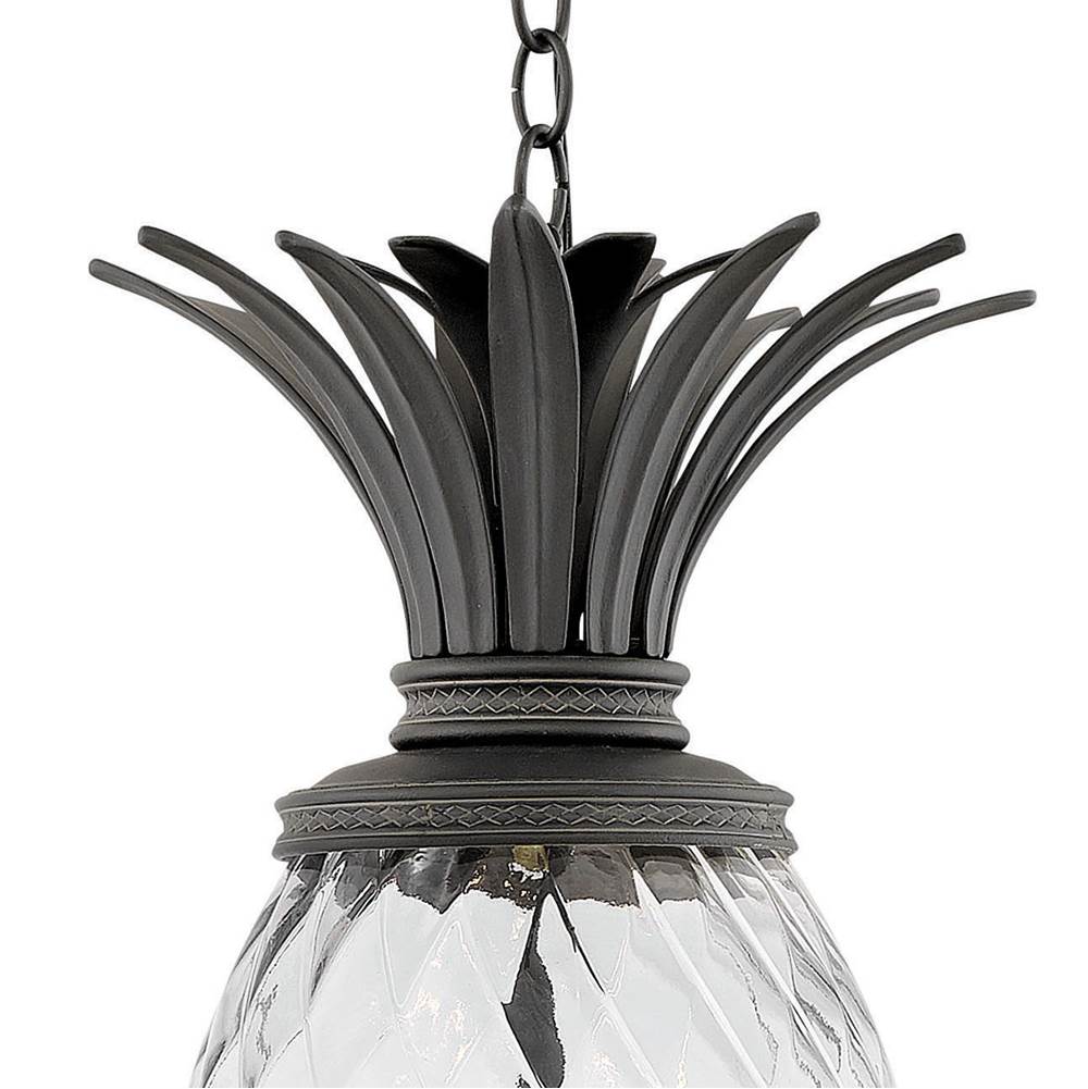 Hinkley Lighting 2122MB Museum Black Large Hanging Lantern Image 3