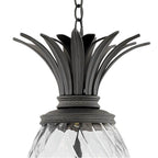 Hinkley Lighting 2122MB Museum Black Large Hanging Lantern Image 3